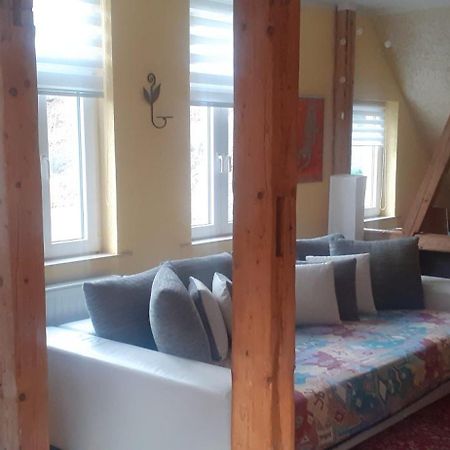 Ferienwohnungen Im Harz Altenbrak Εξωτερικό φωτογραφία