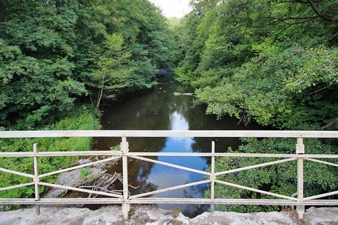 Ferienwohnungen Im Harz Altenbrak Εξωτερικό φωτογραφία